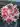 Pink lily and rose arrangement, custom bouquet Easley SC